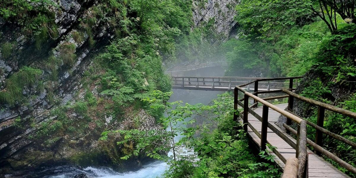 Promenade romantique à travers les gorges de Vintgar
