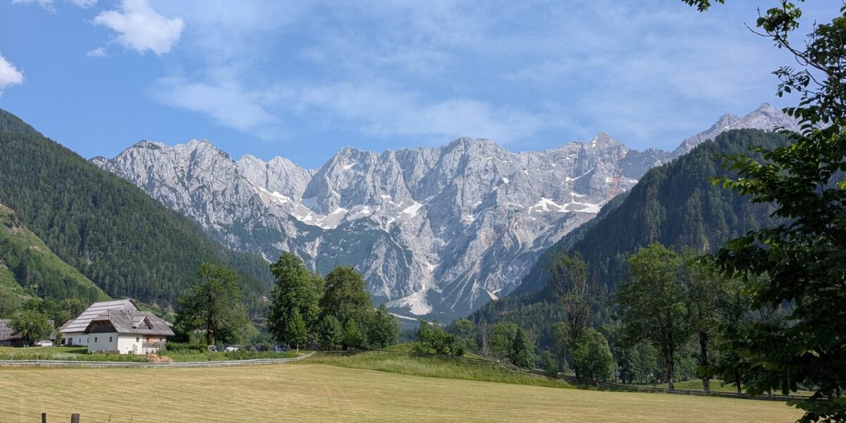 paysage verdoyant de la Slovénie avec forêts et montagnes