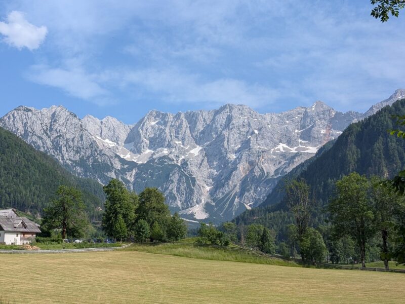 paysage verdoyant de la Slovénie avec forêts et montagnes