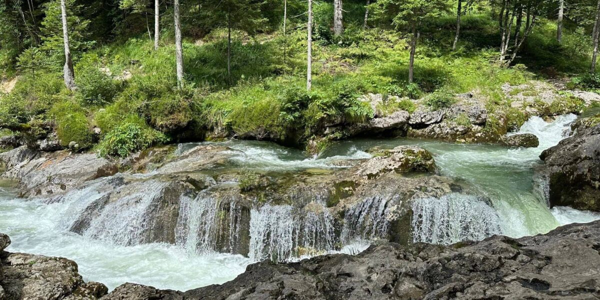 Gorge de Mostnica