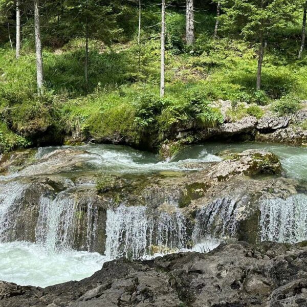 Gorge de Mostnica