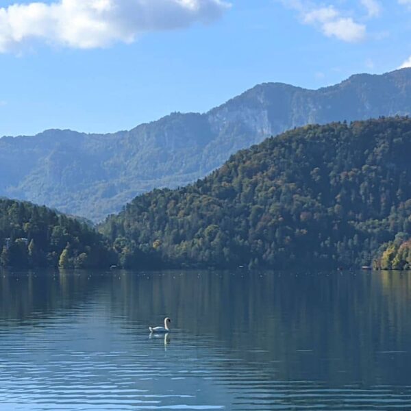 Le lac de Bled