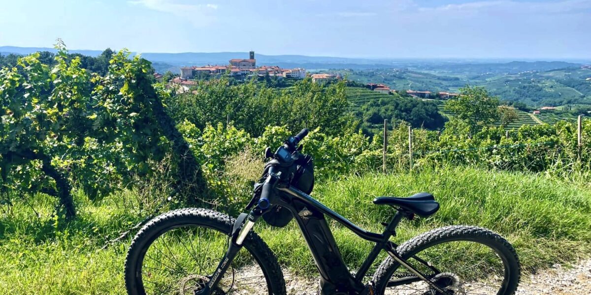 À vélo électrique dans la région viticole de Brda