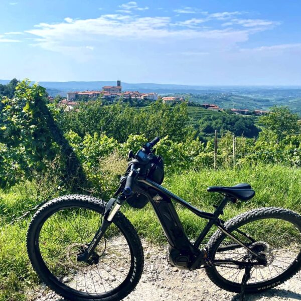 À vélo électrique dans la région viticole de Brda