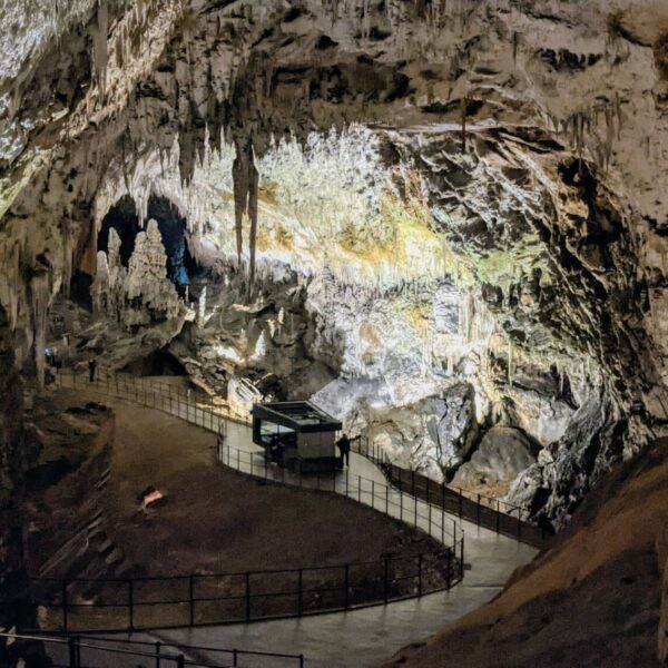 Dans les grottes de Postojna
