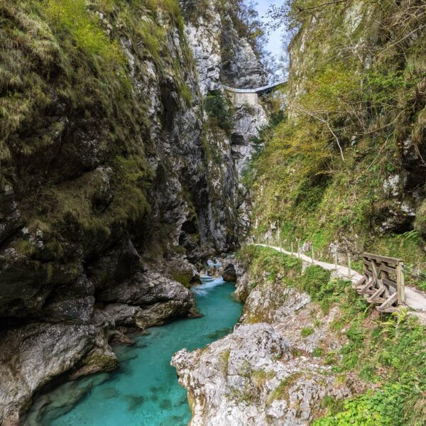 Vue sur la gorge de Tolmin, Slovénie