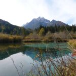 réserve naturelle de Zelenci