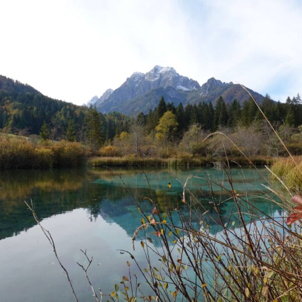 Lac Zelenci