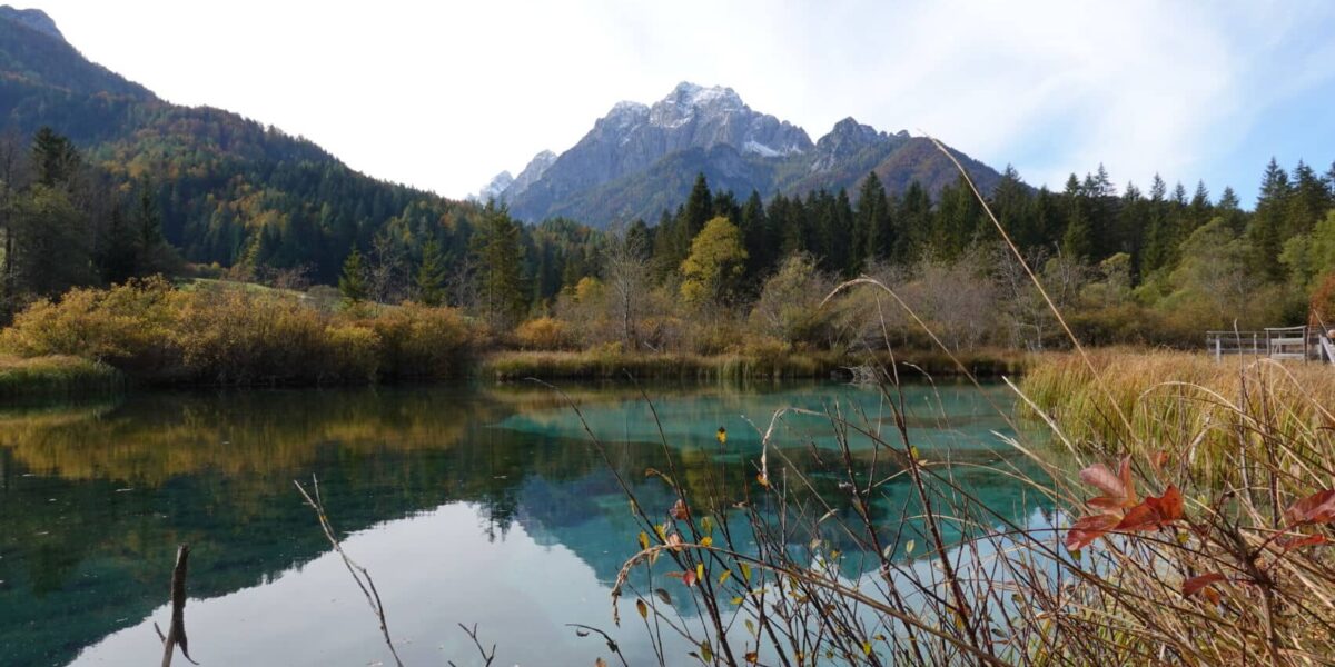 Petit lac de Zelenci niché dans la nature slovène, eaux claires, entouré de verdure