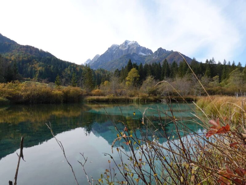 Petit lac de Zelenci niché dans la nature slovène, eaux claires, entouré de verdure
