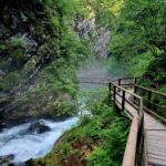 les gorges de Vintgar