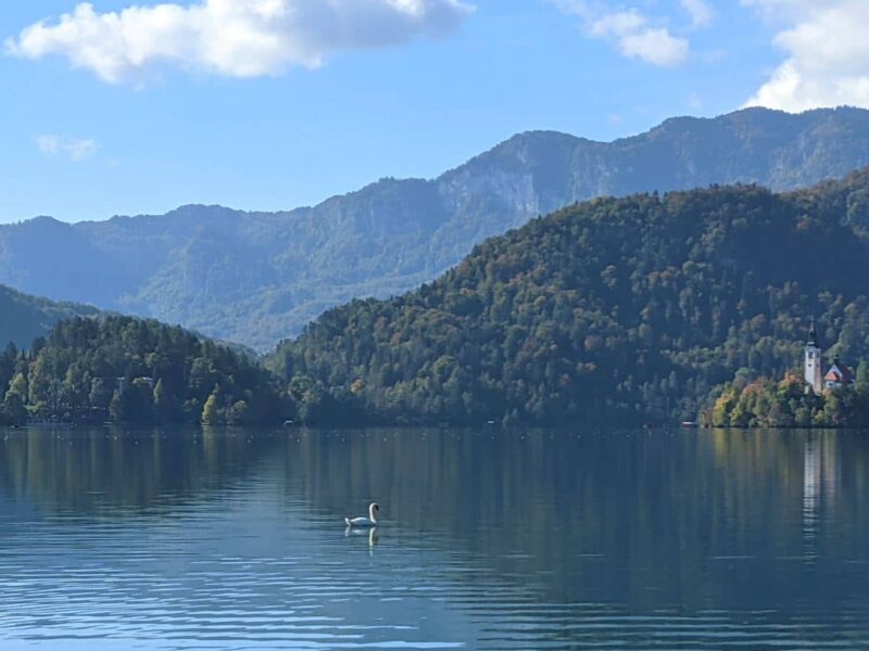 Vue du lac de Bled entouré de montagnes en Slovénie