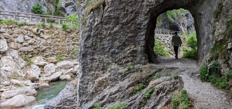 Vue sur la gorge de Dovžan et sa rivière
