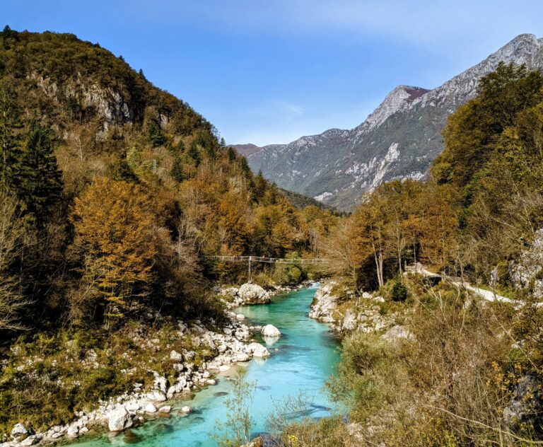 Paysage d’automne en Slovénie avec lac et forêt