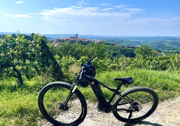 À vélo électrique au cœur des vignobles de Brda