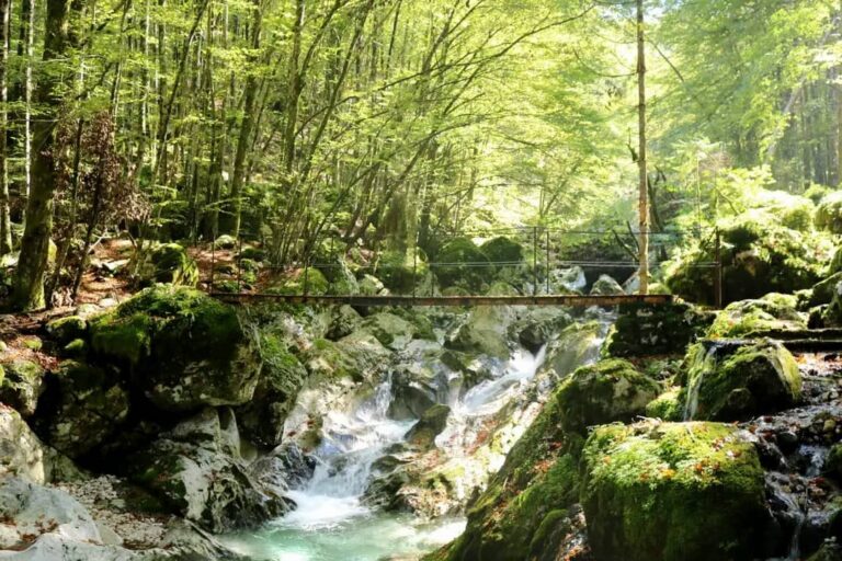 Cascade à Šunikov vodni gaj