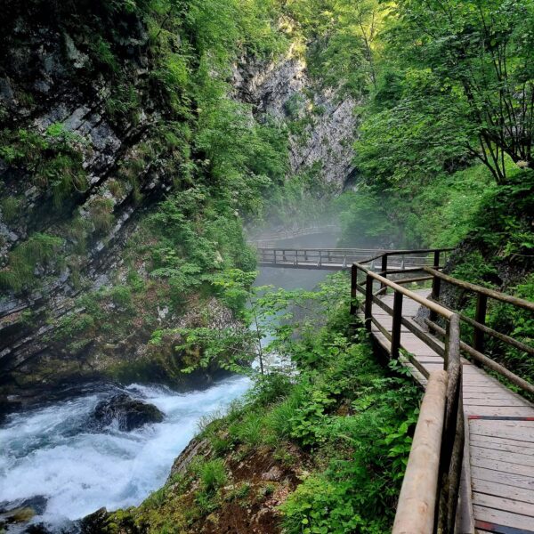 Promenade sur les passerelles de la gorge de Vintgar
