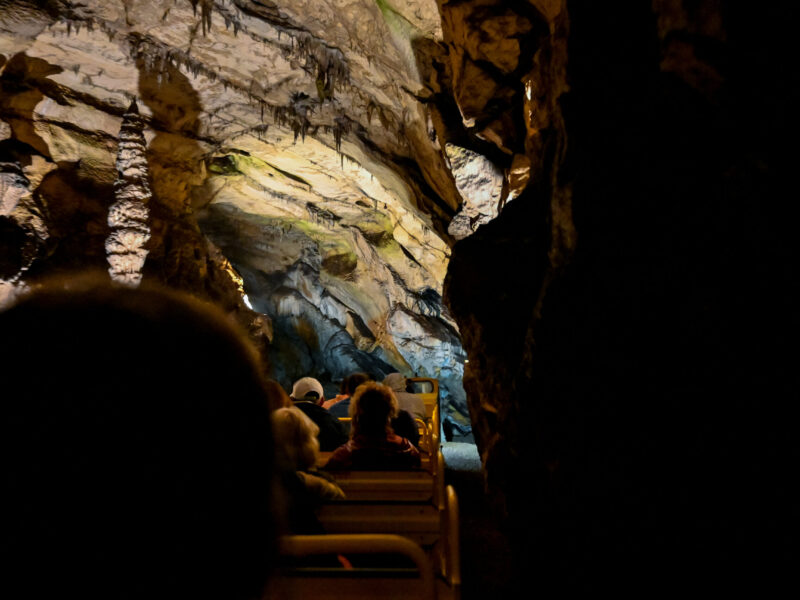 de grotten van postojna